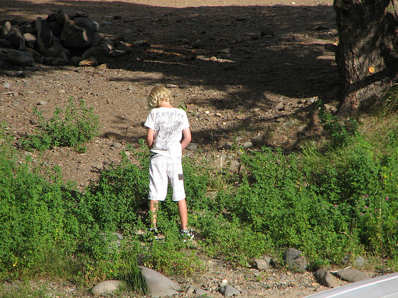 IMG_8690.JPG