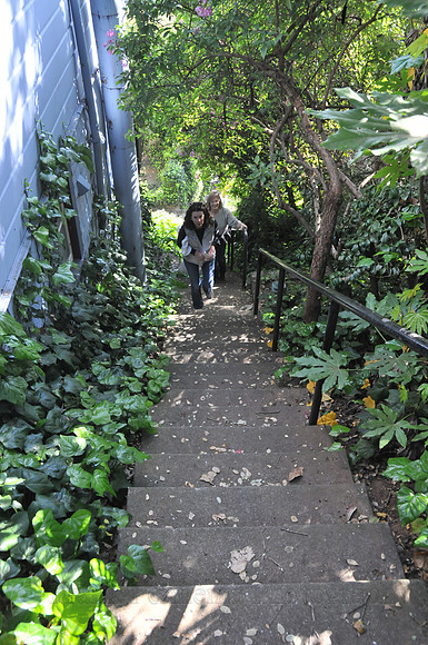 FGF_6498