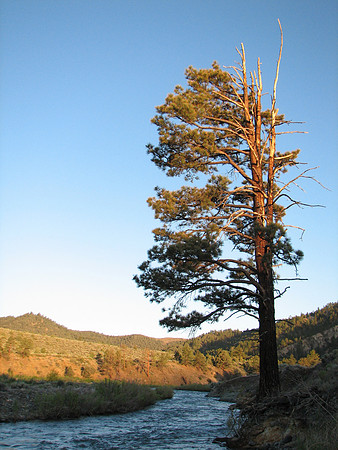 IMG_8940.JPG