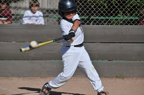 FGF_9279.JPG