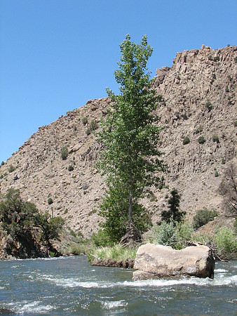IMG_9333.JPG