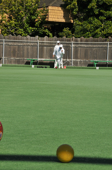 FGF_8337.JPG