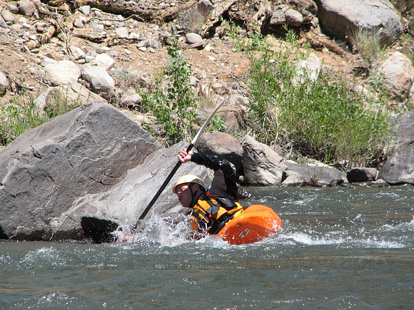 IMG_9364.JPG