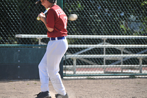 FGF_8351.JPG