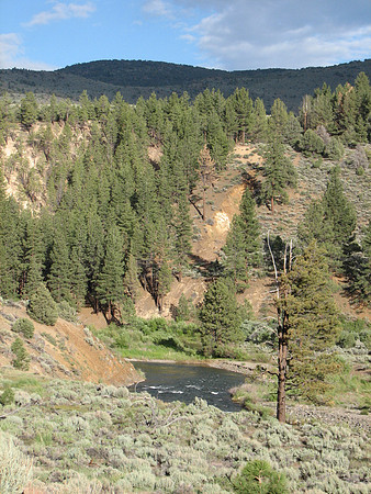 IMG_8757.JPG