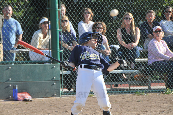 FGF_3981.JPG