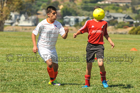 2014-09-06_11-10-11_FGF_3671