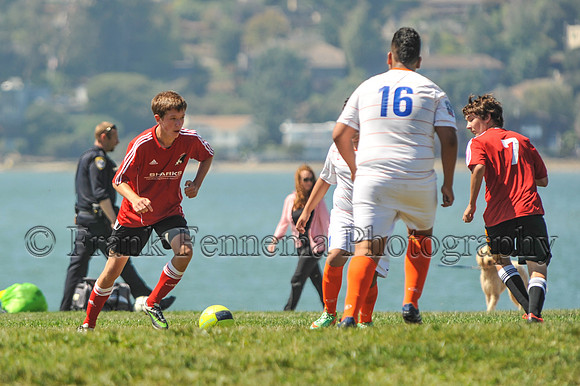 2014-09-06_11-22-47_FGF_3799