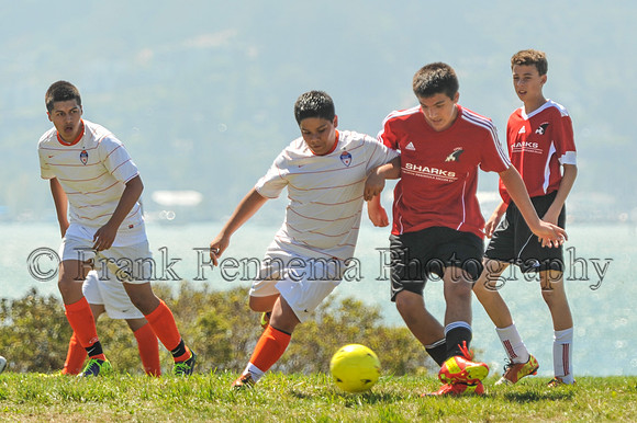 2014-09-06_11-56-25_FGF_4087