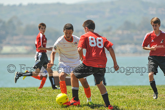 2014-09-06_11-55-24_FGF_4060