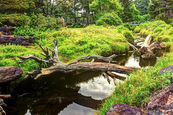 Over the river and through the woods