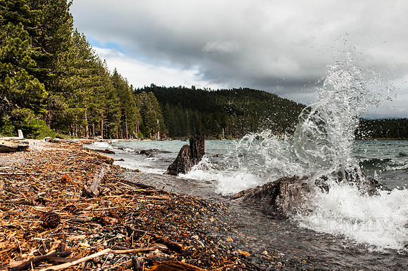 Wave splashes against tree trunks on Cascade Lake