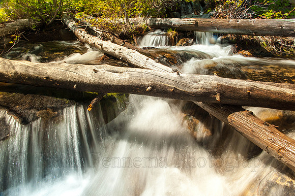 River flows under trees in slow motion