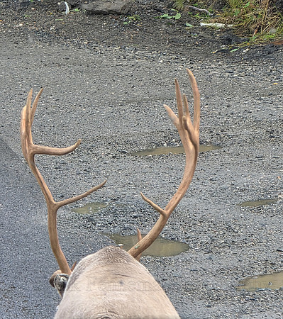 20260905_091055