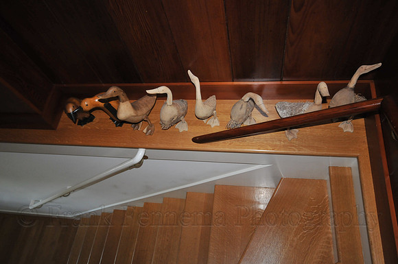 FGF_6673