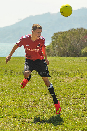 2014-09-06_11-15-07_FGF_3707