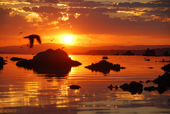 Mono Lake #2