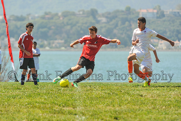 2014-09-06_11-23-58_FGF_3815