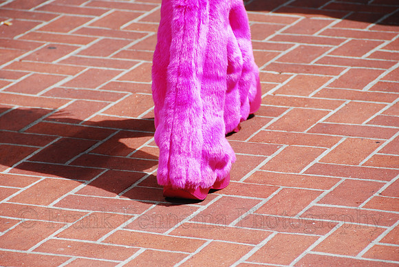 DSC_0041.JPG