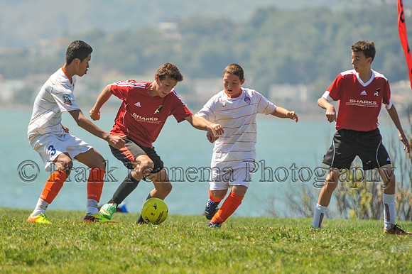 2014-09-06_11-13-23_FGF_3693