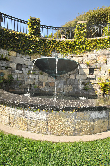 FGF_6610