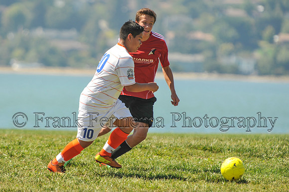 2014-09-06_12-03-23_FGF_4159