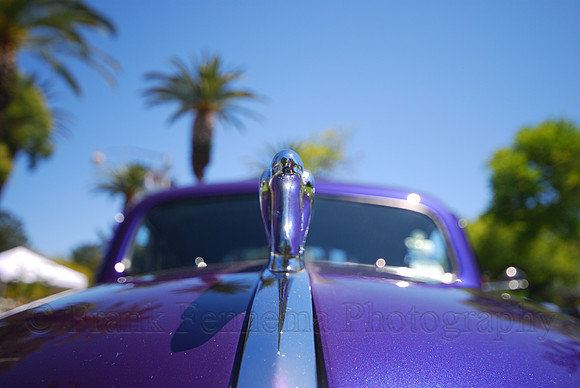 DSC_7662.JPG