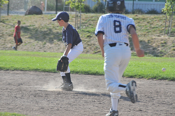FGF_3947.JPG