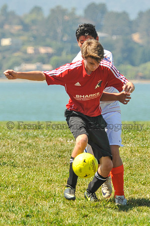2014-09-06_11-26-29_FGF_3847