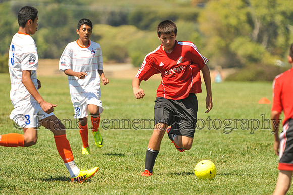 2014-09-06_11-44-05_FGF_3963