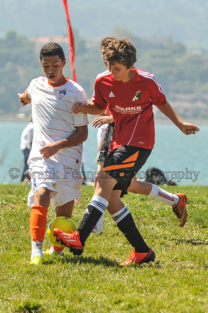 2014-09-06_11-55-27_FGF_4061