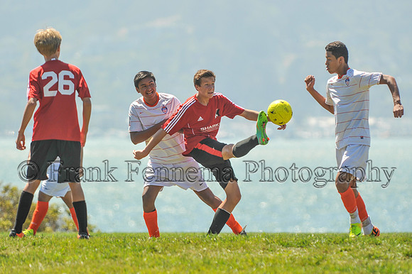 2014-09-06_11-51-03_FGF_4022