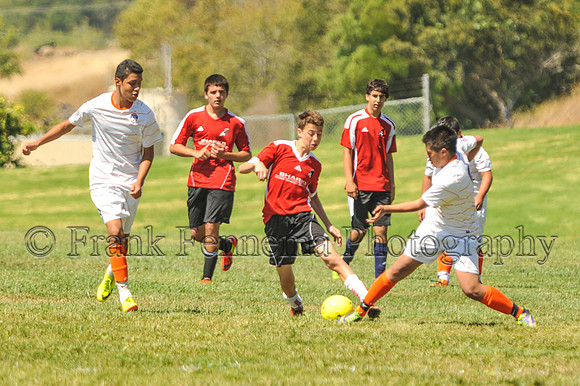 2014-09-06_12-14-06_FGF_4229