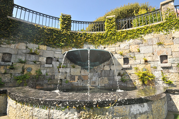FGF_6609