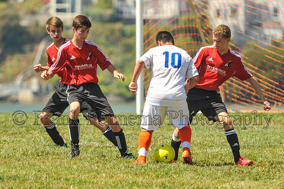 2014-09-06_11-59-38_FGF_4129