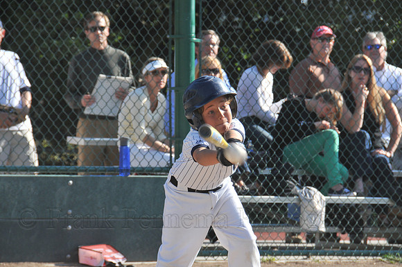 FGF_3818.JPG