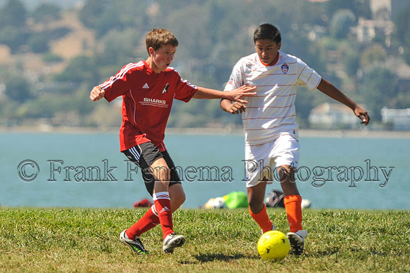 2014-09-06_11-15-17_FGF_3712