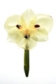 2013-05-23_16-03-49_FGF_7318