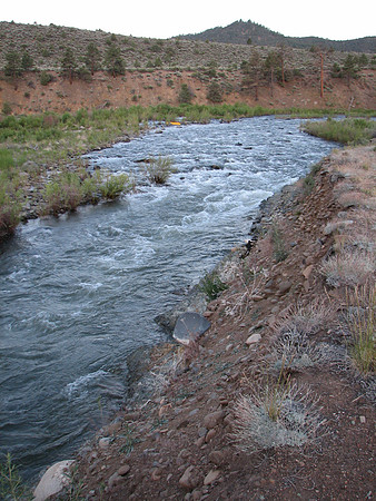 IMG_8900.JPG