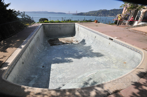 FGF_6538
