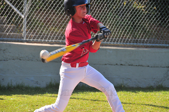 FGF_6523.JPG
