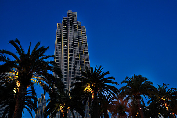 Tropical Embarcadero