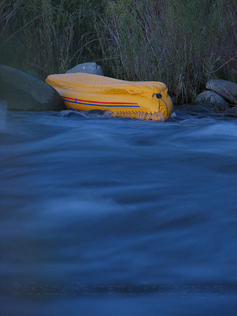 IMG_8835.JPG