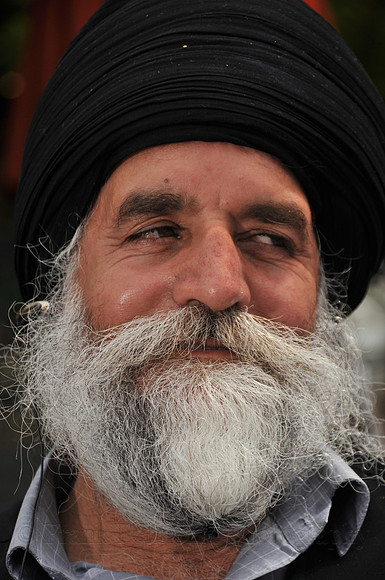 FGF_3520.JPG