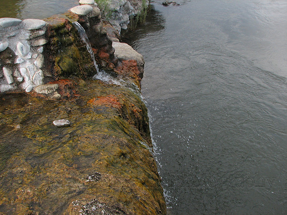 IMG_8668.JPG