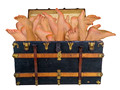 Guess the Brand or Product name