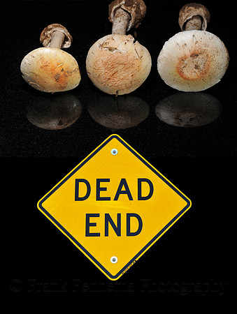 W14-1 Dead End with Destroying Angel Mushrooms