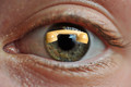 Guess the Brand or Product name