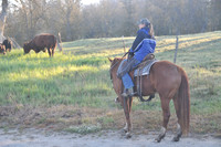 Cattle Drive