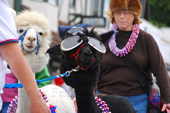DSC_3892.JPG